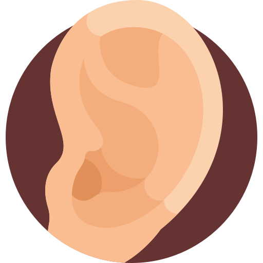orecchio Detailed Flat Circular Flat icona