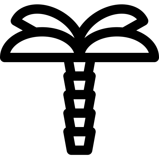 palmeira Basic Rounded Lineal Ícone