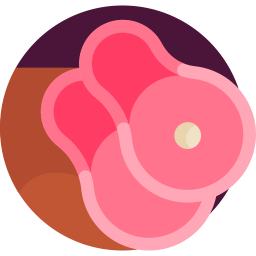 고기 Detailed Flat Circular Flat icon