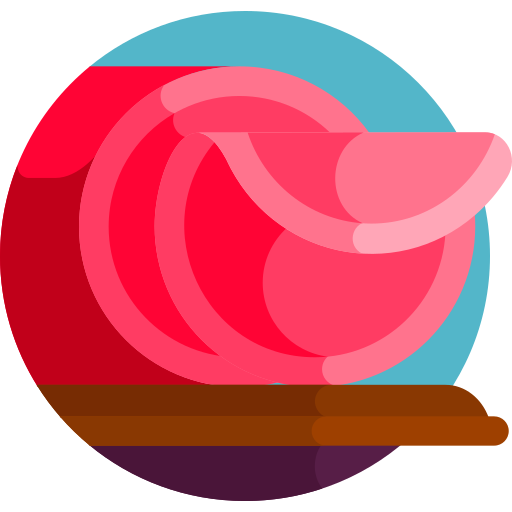햄 Detailed Flat Circular Flat icon