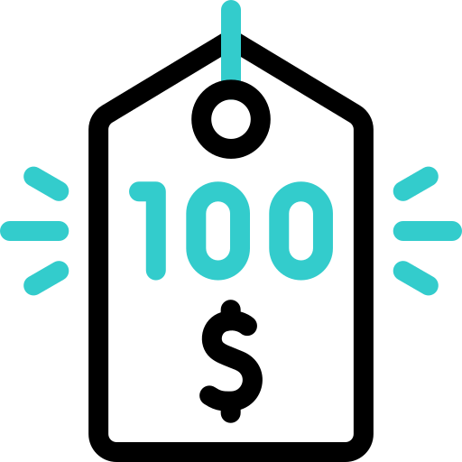 100 dollar Basic Accent Outline icon