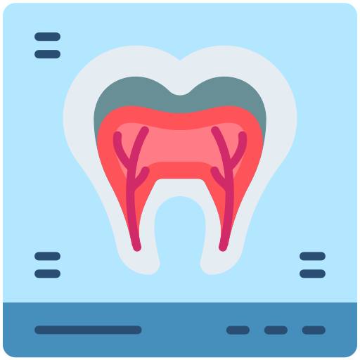 정형검사 Generic color lineal-color icon