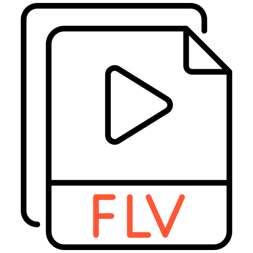 Flv Generic color outline icon