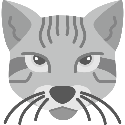 gatto del bengala Generic color fill icona