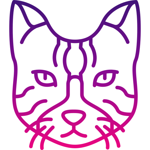 gatto Generic gradient outline icona