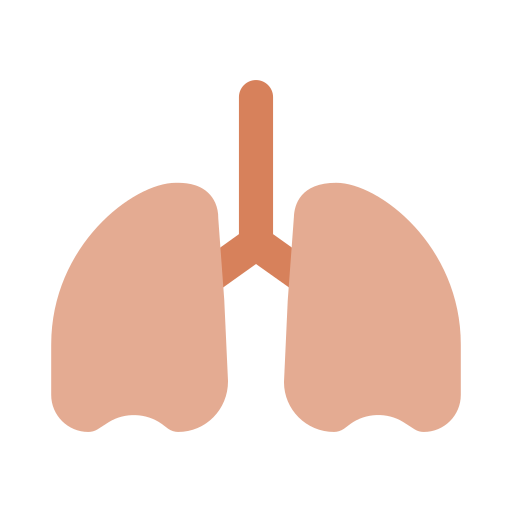 pulmones Generic color fill icono