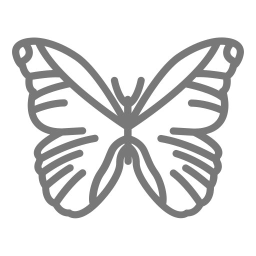 mariposa morfo Generic outline icono