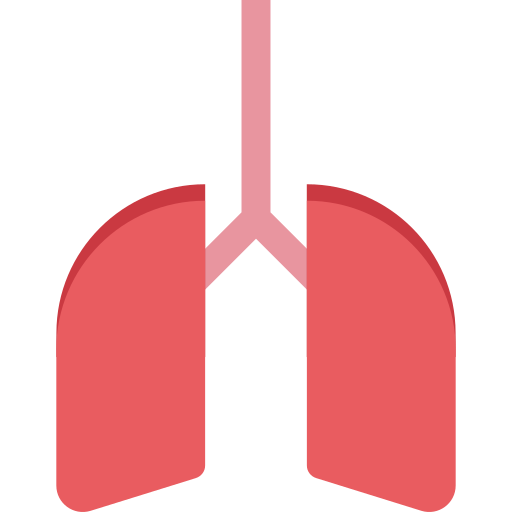 ludzkie płuca Generic color fill ikona