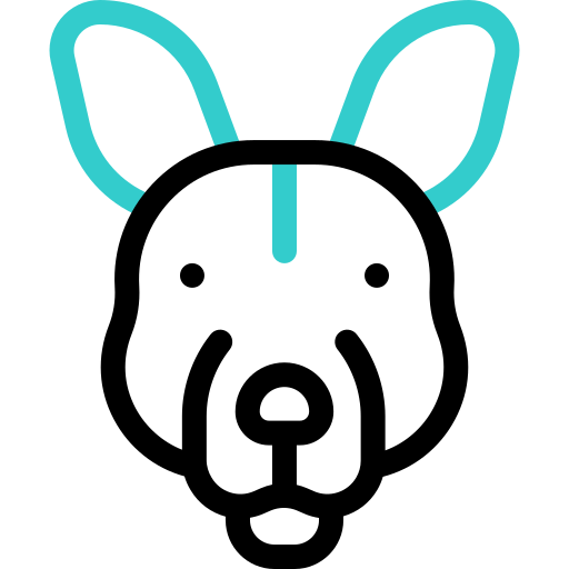 kangoeroe Basic Accent Outline icoon
