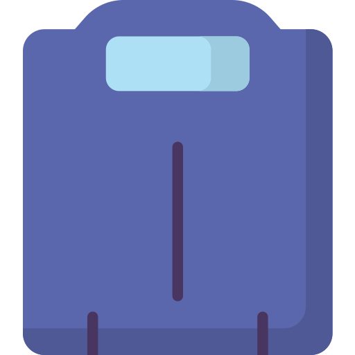 Weight scale Special Flat icon