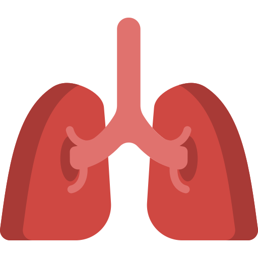 肺 Special Flat icon