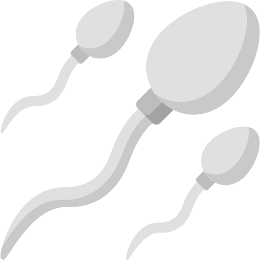 Sperm Special Flat icon