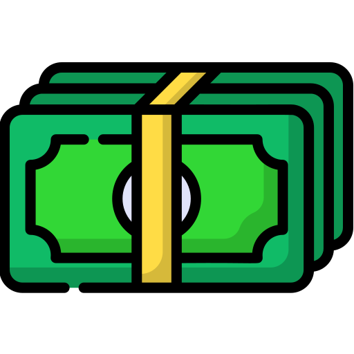 Dinero Special Lineal color icono