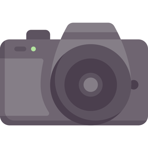 caméra Special Flat Icône