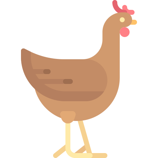 Chicken Special Flat icon