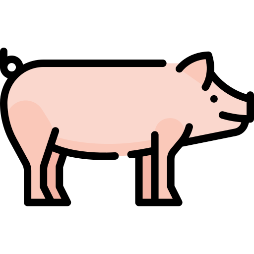 Свинья Special Lineal color иконка