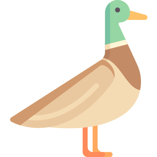 Duck Special Flat icon