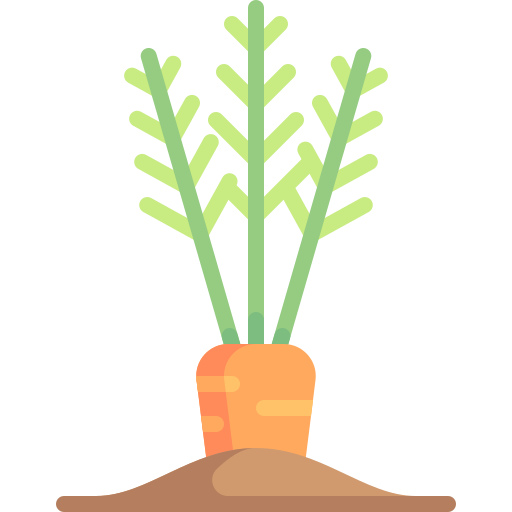 Carrot Special Flat icon