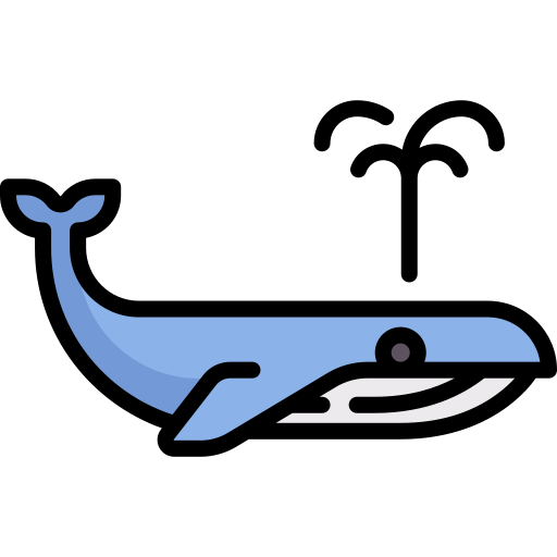고래 Special Lineal color icon