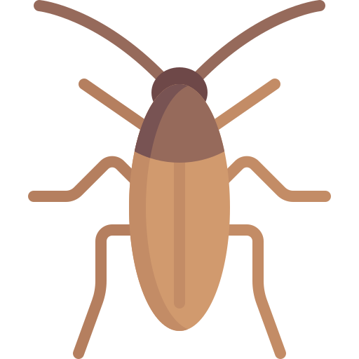 Cockroach Special Flat icon