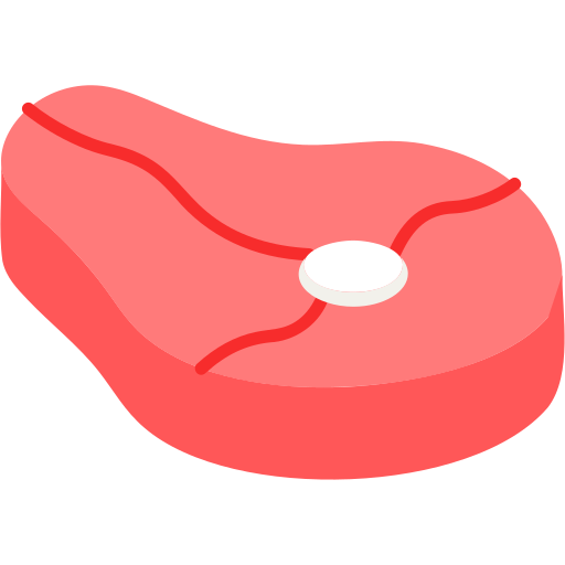 Meat Generic color fill icon