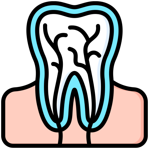 Root canal Generic color lineal-color icon