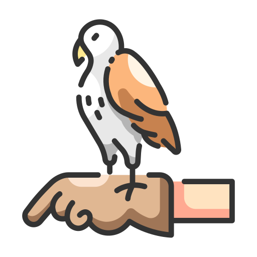 Falconry MaxIcons Lineal color icon