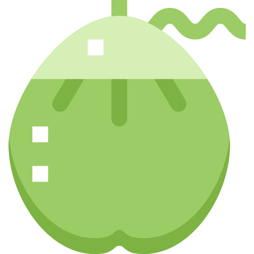 Coco Pixelmeetup Flat icono
