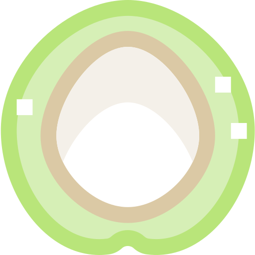 코코넛 Pixelmeetup Flat icon