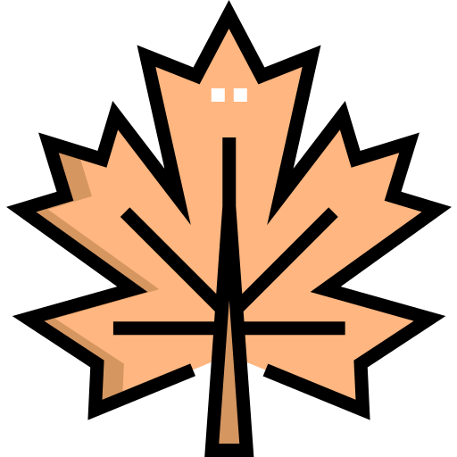가을 Detailed Straight Lineal color icon