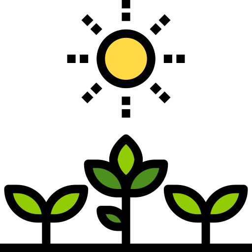 Cultivos Payungkead Lineal Color icono