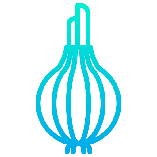 Onion Kiranshastry Gradient icon
