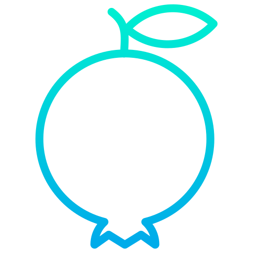 석류 Kiranshastry Gradient icon