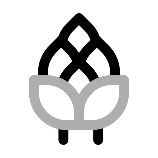 paproć szparagowa Generic color outline ikona