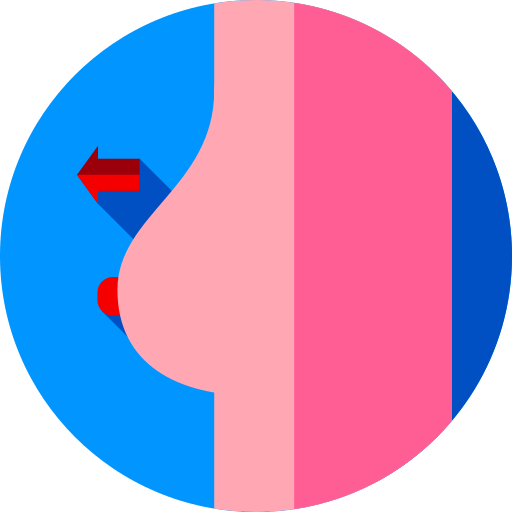 胸 Flat Circular Flat icon