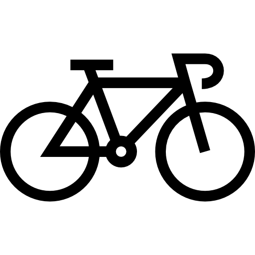 Bicycle Special Lineal icon