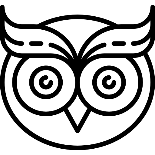 Owl Special Lineal icon