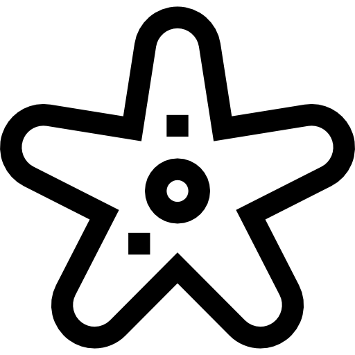 rozgwiazda Basic Straight Lineal ikona