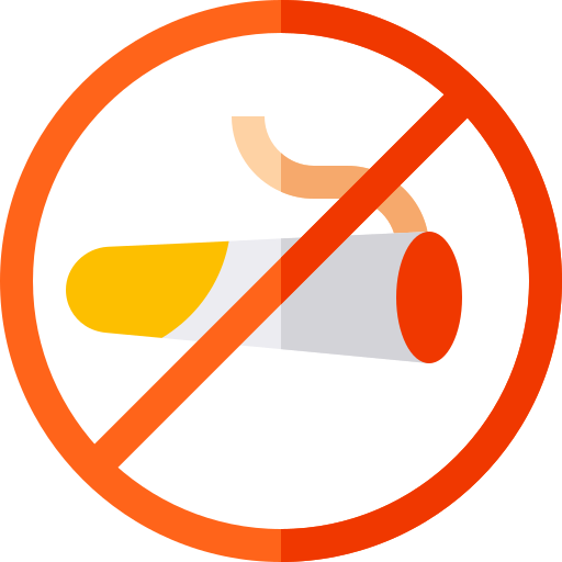 No fumar Basic Straight Flat icono