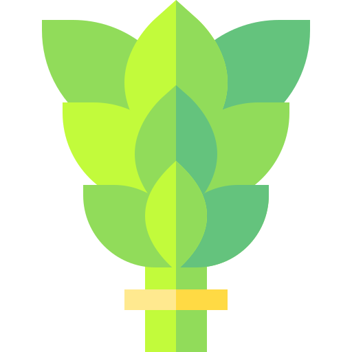 birkenbesen Basic Straight Flat icon