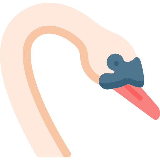 Swan Special Flat icon