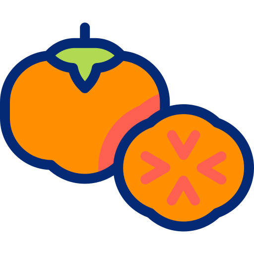 persimmon Basic Accent Lineal Color icon