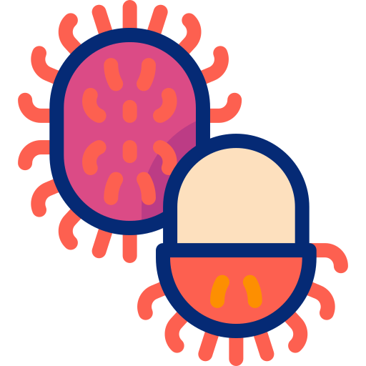 Rambutan Basic Accent Lineal Color icon