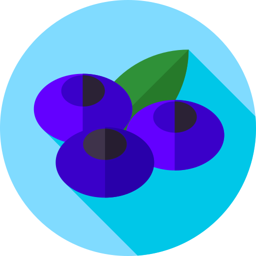 jagoda Flat Circular Flat ikona