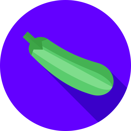 Calabacín Flat Circular Flat icono