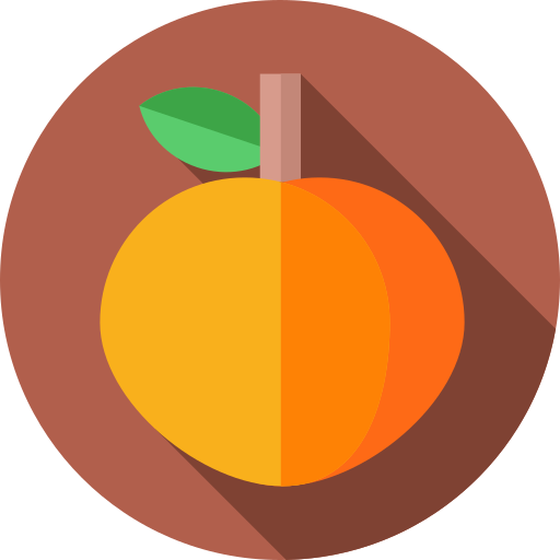 Apricot Flat Circular Flat icon