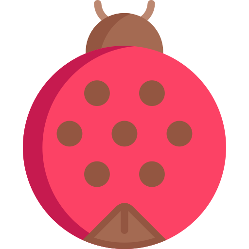 Ladybug Special Flat icon