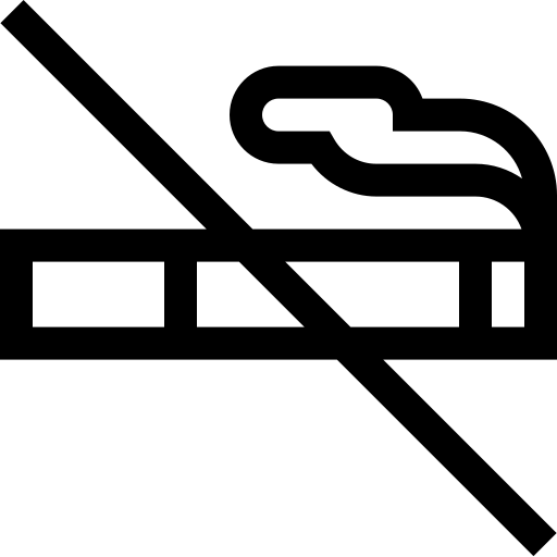 Proibido fumar Basic Straight Lineal Ícone