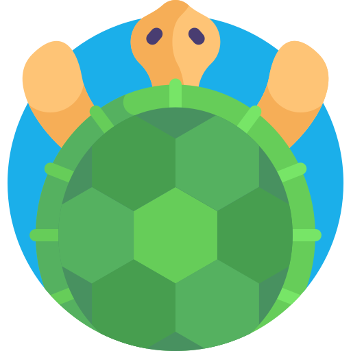 Turtle Detailed Flat Circular Flat icon