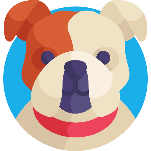 Bulldog Detailed Flat Circular Flat icon